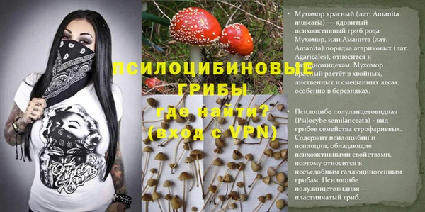 дживик Алексеевка