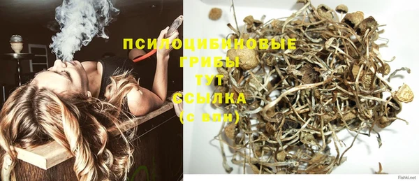 прущая мука Алзамай