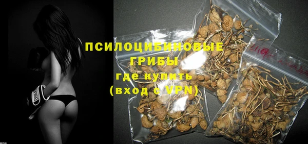 дживик Алексеевка