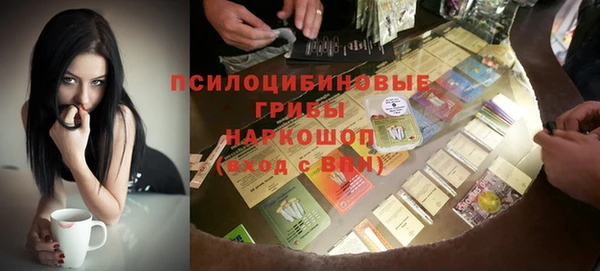 apvp Алексин